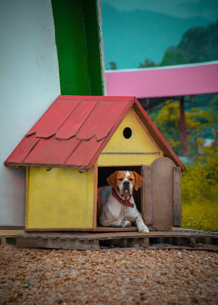 Domček pre psa so strechou